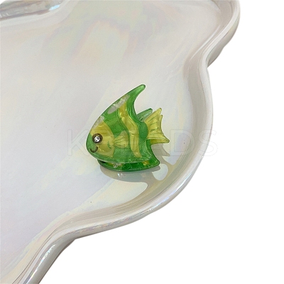Acrylic Claw Hair Clips PW-WG234CC-10-1