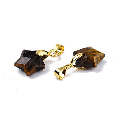 Natural Tiger Eye Charms X-G-N326-142-01-1