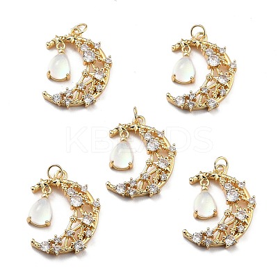Brass Micro Pave Cubic Zirconia Pendants ZIRC-H122-04G-02-1