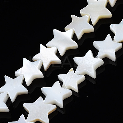Natural Freshwater Shell Beads Strands SHEL-S278-01B-01-1