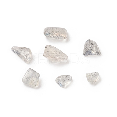 Natural Labradorite Beads G-O103-22-1