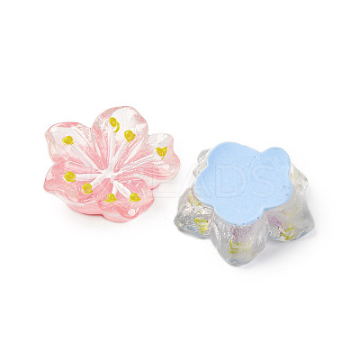 Opaque Resin Cabochons RESI-R455-01E-1