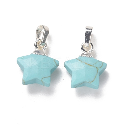 Synthetic Turquoise Charms G-F584-A20-S-1