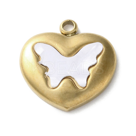 304 Stainless Steel Acrylic Pendants LS-STAS-M091-02B-G-1