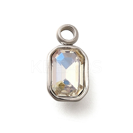 304 Stainless Steel Pendants STAS-Q346-03P-04-1