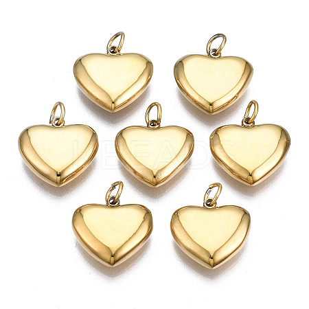 316 Surgical Stainless Steel Charms LS-STAS-N097-045-1