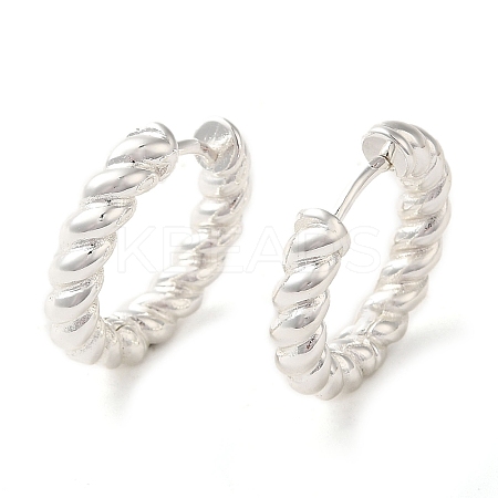 Brass Twisted Rope Hinged Hoop Earrings for Women EJEW-P196-25S-1