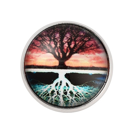 Round Glass Brooches JEWB-A022-02F-1