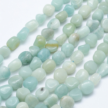 Natural Amazonite Beads Strands G-K203-19-1