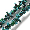 Synthetic Turquoise Dyed Beads Strands G-P507-04B-1