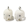 Flocky Resin Pendants RESI-D012-01C-1