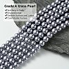 Eco-Friendly Dyed Glass Pearl Round Bead Strands X-HY-A002-8mm-RB028-2