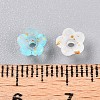 Frosted Transparent Acrylic Beads LS-OACR-N137-72I-4