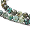 Natural African Turquoise(Jasper) Beads Strands LS-G-F717-01-4