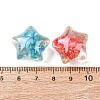 Transparent Resin & Natural Shell Beads RESI-B039-03B-3