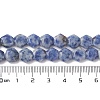Natural Blue Spot Jasper Beads Strands G-K359-C17-01-5