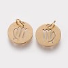 Ion Plating(IP) 304 Stainless Steel Pendants A-STAS-Q201-T445-6G-2