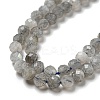 Faceted Round Natural Labradorite Bead Strands LS-G-I156-03-4mm-5