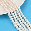 Natural Cultured Freshwater Pearl Beads Strands PEAR-I007-07J-08A-1