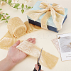 Frayed Polyester Ribbon OCOR-WH0100-87F-08-3