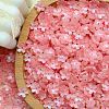 Electroplate Transparent Glass Beads PW-WG44A55-02-1