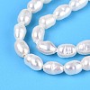 Natural Cultured Freshwater Pearl Beads Strands PEAR-T006-07-4