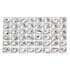 48Pcs Glass Rhinestone Cabochons MRMJ-N029-03-13-1