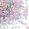 Luminous Transparent Acrylic Beads LACR-D009-01J-2