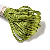 Polyester Embroidery Floss OCOR-C005-B20-2
