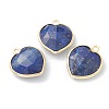 Natural Lapis Lazuli Pendants LS-G-B009-03G-C-1