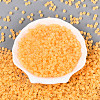 6/0 Transparent Inside Colours Glass Seed Beads SEED-N008-08S-2