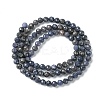 Natural Sapphire Beads Strands G-F748-M01-02-3