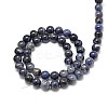 Natural Sodalite Round Beads Strands G-P075-07-6mm-2