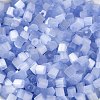 Glass Seed Beads SEED-H002-D-A814-3