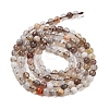 Natural Botswana Agate Beads Strands G-G143-A02-01-3