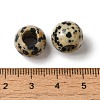 Natural Dalmatian Jasper European Beads G-N342-03J-3