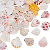48Pcs Natural Shell Crafts DJEW-AR0001-12-1
