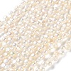 Natural Cultured Freshwater Pearl Beads Strands PA-CBABE82-02D-2