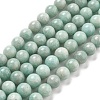 Natural Amazonite Beads Strands G-L618-A01-8mm-2