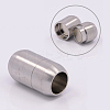 Tarnish Resistant 304 Stainless Steel Magnetic Clasps with Glue-in Ends STAS-E006-79-1
