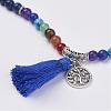 Natural Gemstone Beads Necklaces NJEW-F147-B01-2