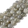 Natural Labradorite Beads Strands G-B022-16B-1