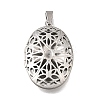 316 Stainless Steel Locket Pendants STAS-C123-01A-P-1
