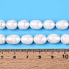 Natural Cultured Freshwater Pearl Beads Strands PEAR-T006-19D-5