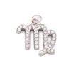 316 Stainless Steel Micro Pave Cubic Zirconia Pendants LS-STAS-K284-01B-P-1