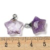 Natural Amethyst Pendants G-P540-01P-10-3