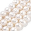 Natural Cultured Freshwater Pearl Beads Strands PEAR-C003-19A-2