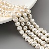 Natural Cultured Freshwater Pearl Beads Strands PEAR-A006-07B-1