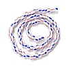 Handmade Lampwork Beads Strands BLOW-K001-01B-10-3