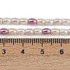 Electroplated Shell Pearl Beads Strands BSHE-H113-06B-01-4